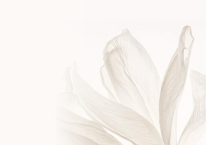 Parfüm Şişesi Seti